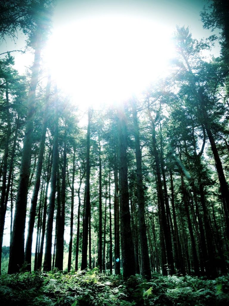 Hanumantra Blackwork Tattoo UN1TY living inspired -2