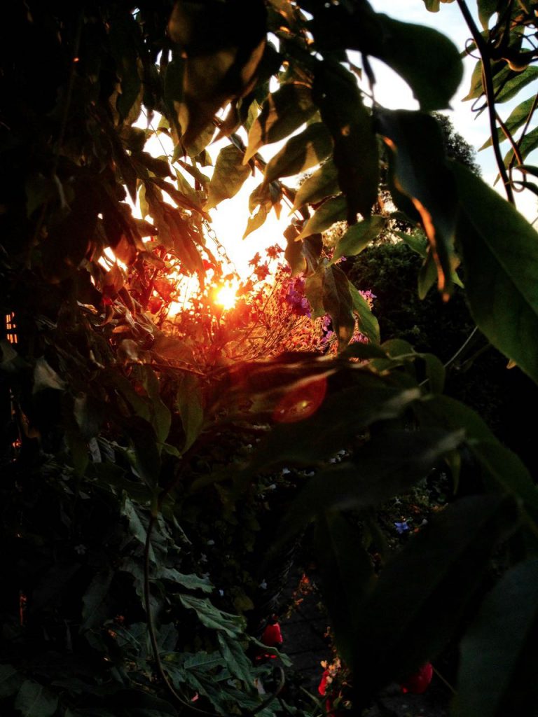 Hanumantra Blackwork Tattoo UN1TY living inspired -3